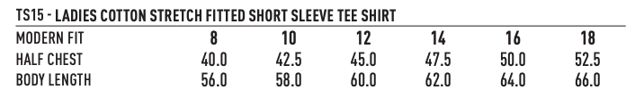 TS15 Ladies Superfit Stretch Fitted Tee
