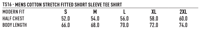 TS16 Mens Superfit Stretch Fitted Tee