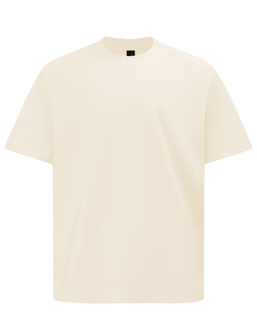 TS50 Unisex Heavy Cotton Oversized Tee